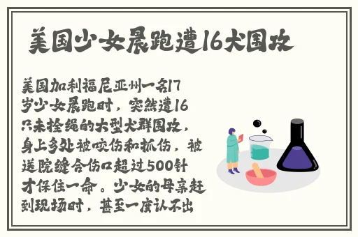 十七岁高清在线播放免费